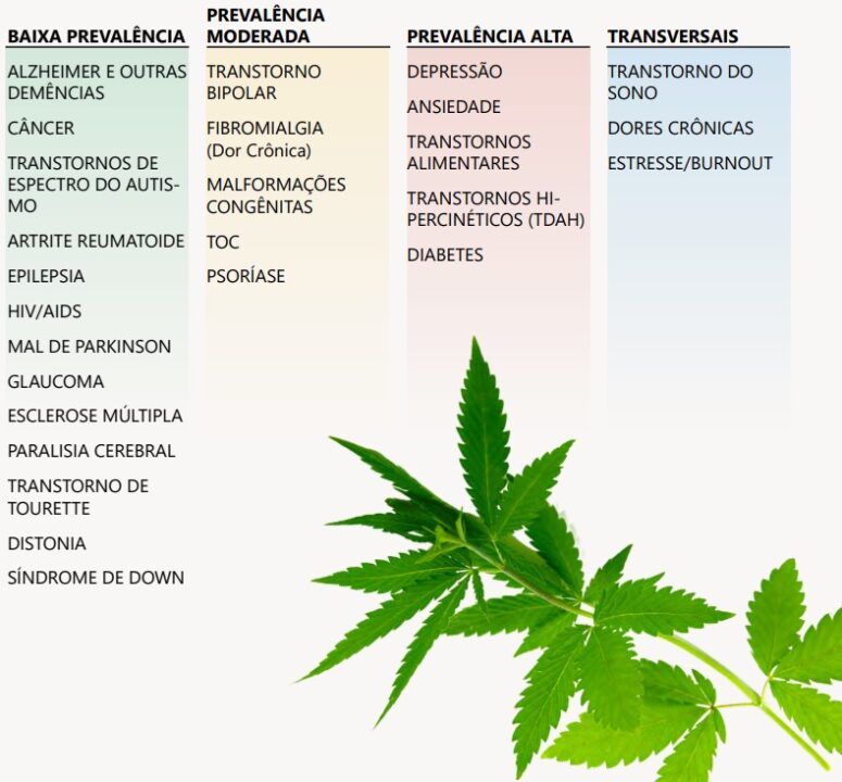 Lista de doenças que são tratadas com medicamentos à base de canabidiol