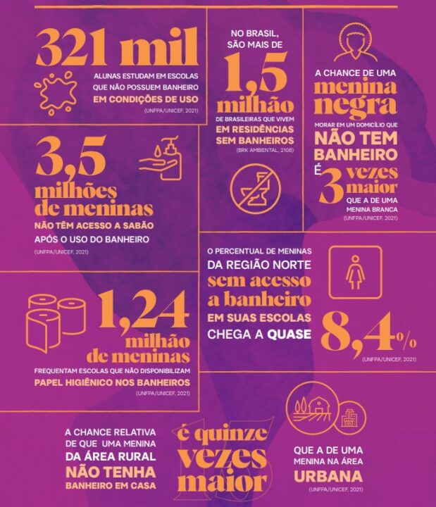 A precariedade menstrual em dados no Brasil