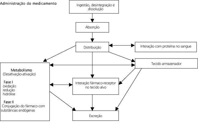 Esquema generalizado da biodisponibilidade dos fármacos